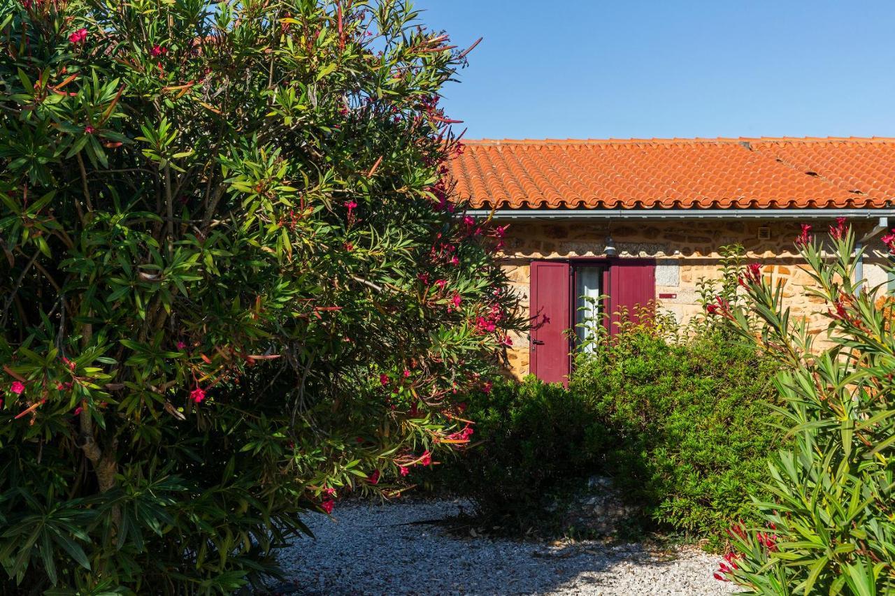 Quinta Do Chao Da Vinha Villa Carragozela Ngoại thất bức ảnh