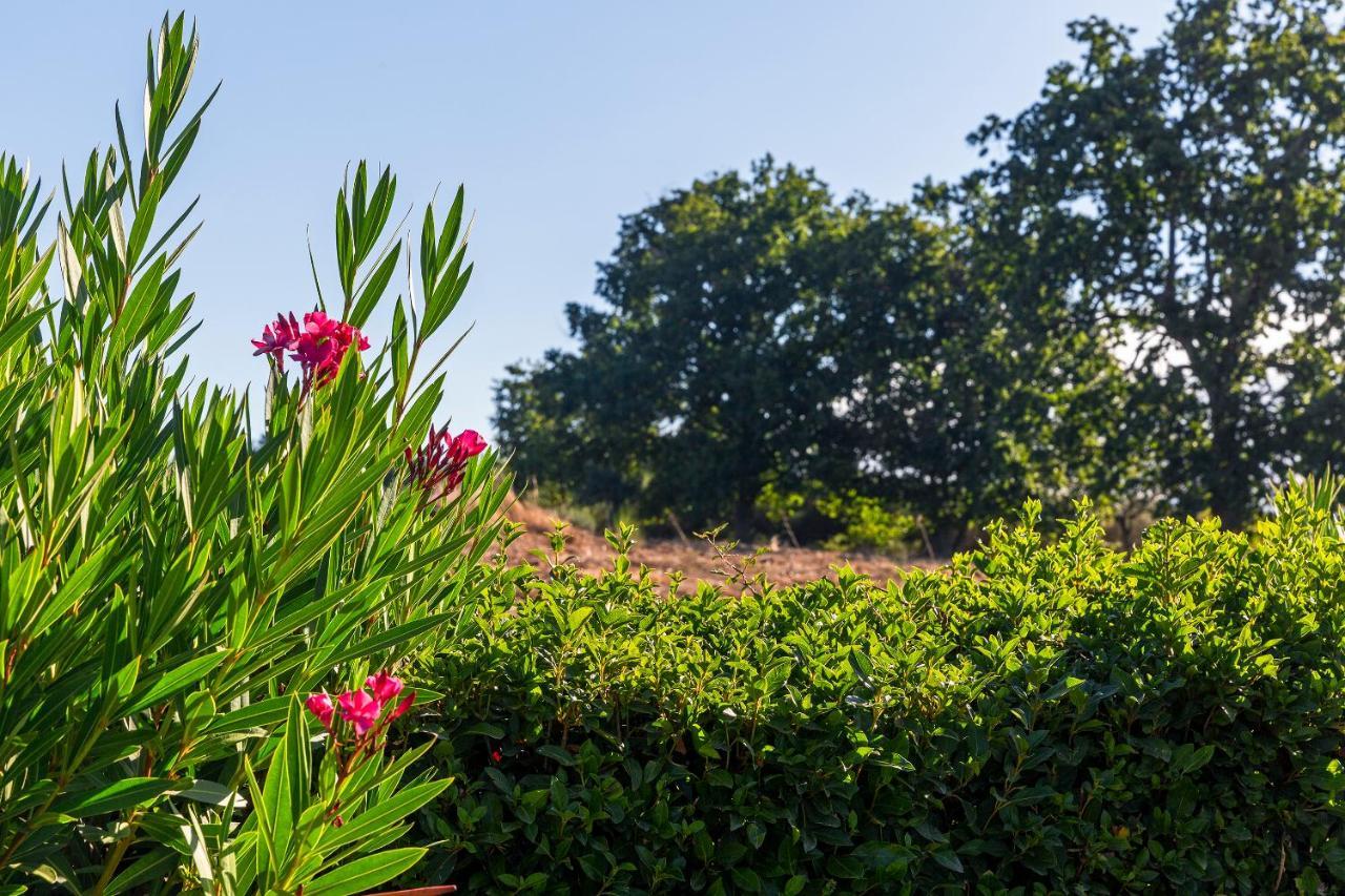 Quinta Do Chao Da Vinha Villa Carragozela Ngoại thất bức ảnh
