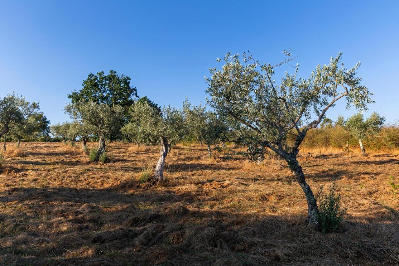 Quinta Do Chao Da Vinha Villa Carragozela Ngoại thất bức ảnh