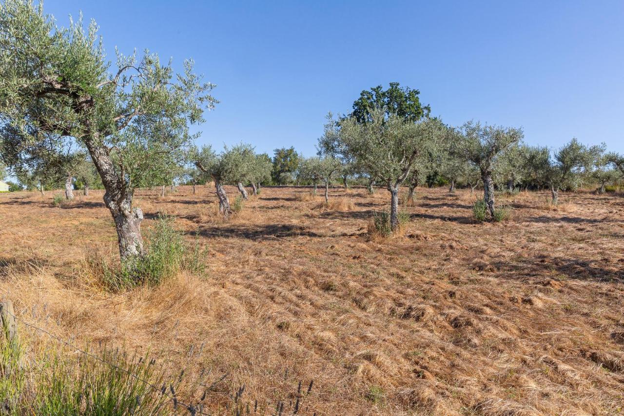 Quinta Do Chao Da Vinha Villa Carragozela Ngoại thất bức ảnh