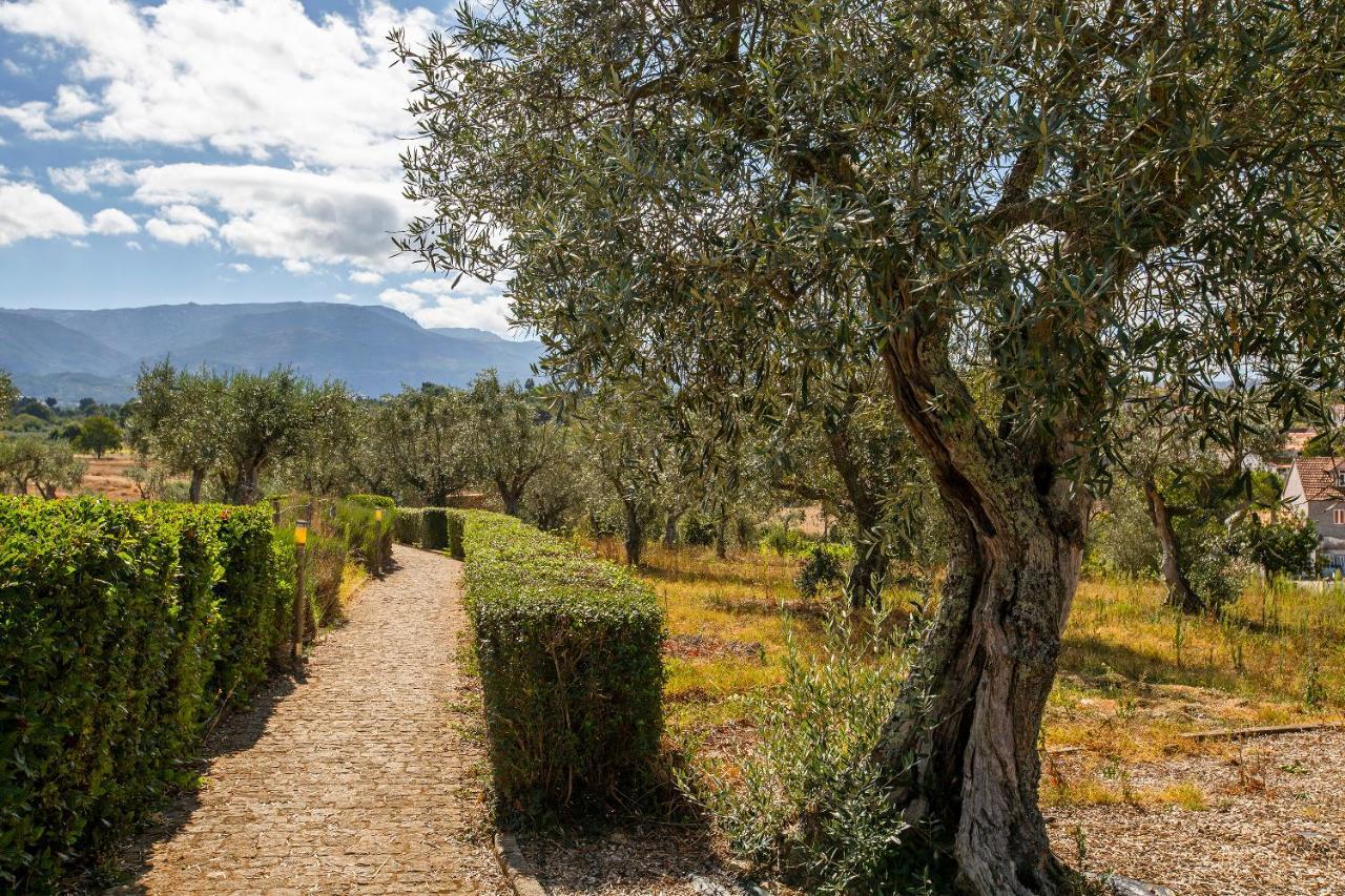 Quinta Do Chao Da Vinha Villa Carragozela Ngoại thất bức ảnh